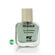 عطر مردانه جیبی نایس